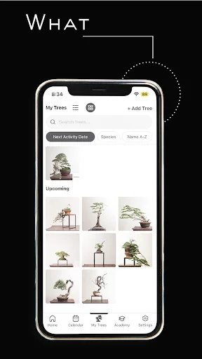 Mirai Mobile: Seu Guia Completo de Bonsai – Especialista Ryan Neil - Screenshot 15